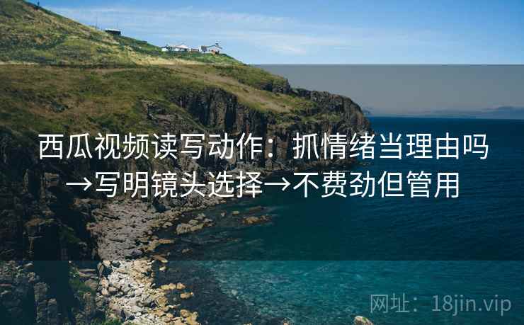 西瓜视频读写动作：抓情绪当理由吗→写明镜头选择→不费劲但管用  第2张