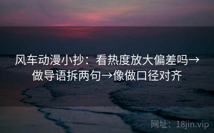 风车动漫小抄：看热度放大偏差吗→做导语拆两句→像做口径对齐